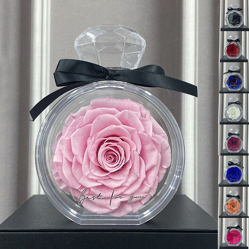 Natural Eternal Rose Flower Gift Box with Transparent Cover