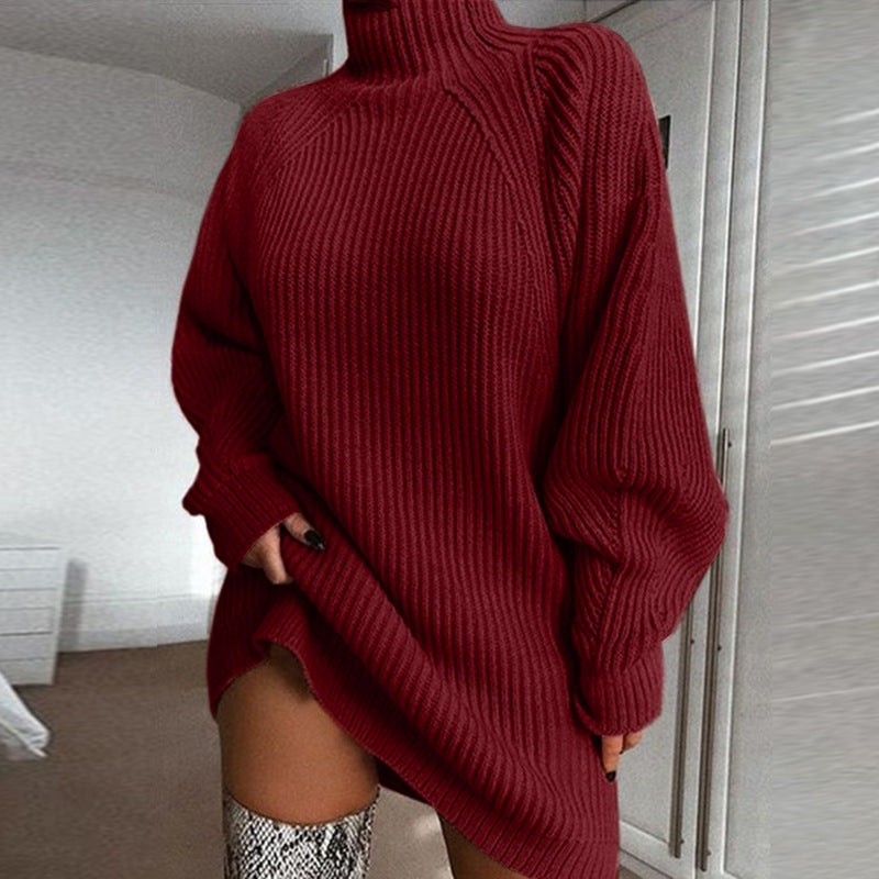 Warm Solid Turtleneck Long Sweater Dress For Women, Winter