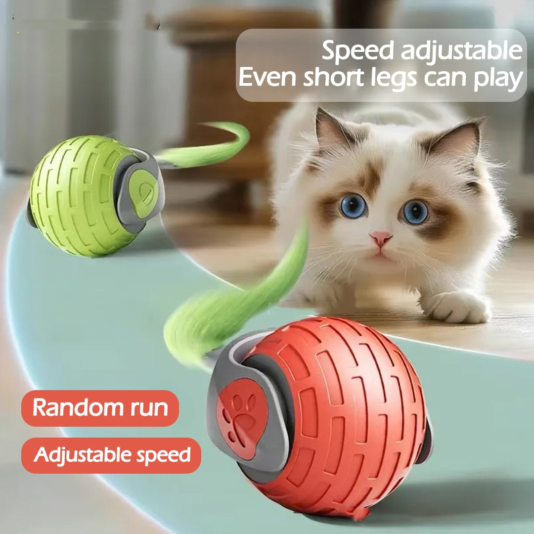 Interactive Electric Rolling Ball Cat Toy, USB Rechargeable