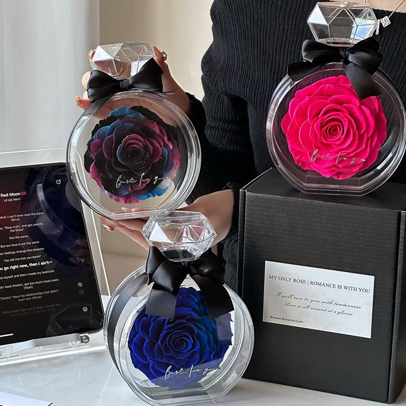 Natural Eternal Rose Flower Gift Box with Transparent Cover