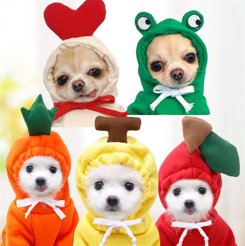 Fruit Fleece Dog Hoodie for Small Dogs, Warm Winter Pet Clothes