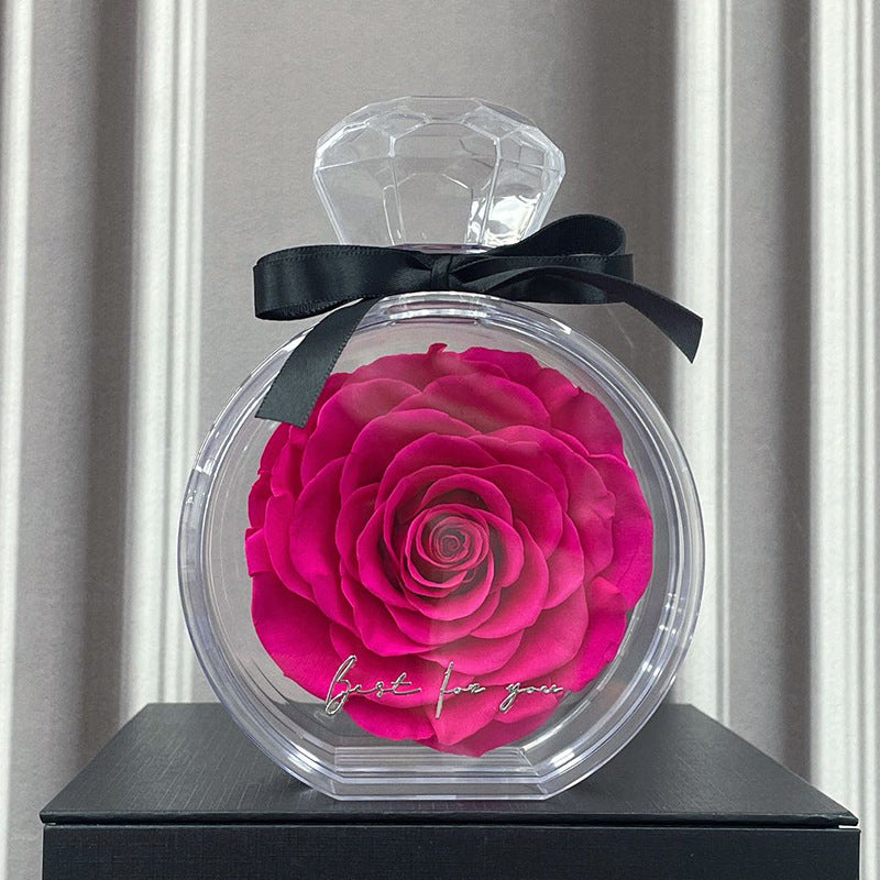 Natural Eternal Rose Flower Gift Box with Transparent Cover