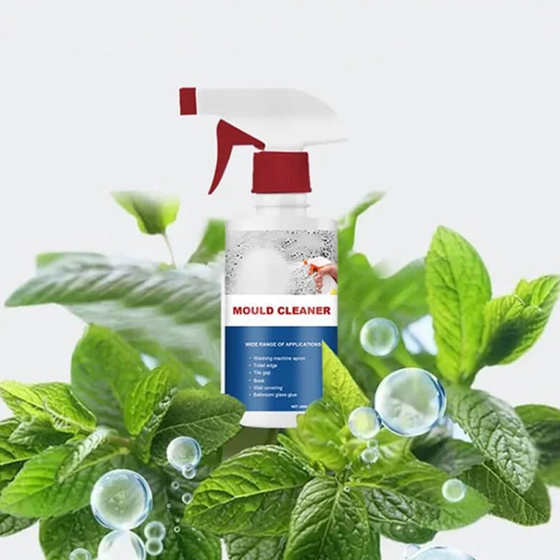 Mould Remover Spray with Active Chlorine for Bathroom and Kitchen