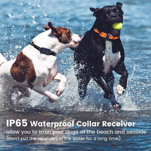 Waterproof Dog Training Collar with Remote and 800m Range