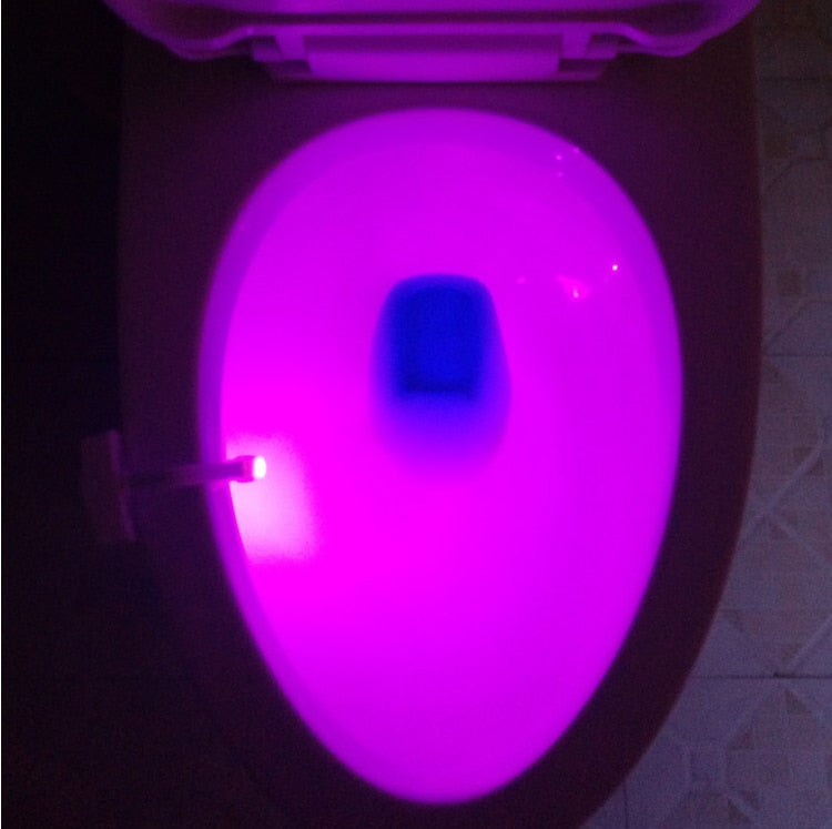 Toilet Induction LED Night Light with Colour Choices for the Bathroom