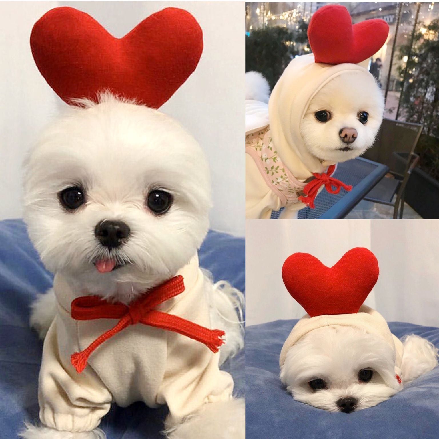 Fruit Fleece Dog Hoodie for Small Dogs, Warm Winter Pet Clothes