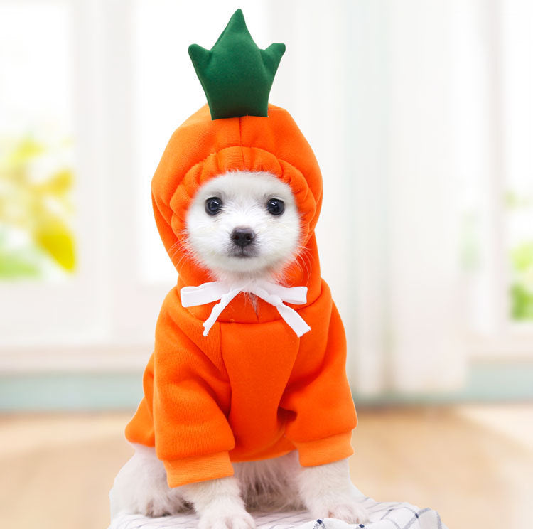 Fruit Fleece Dog Hoodie for Small Dogs, Warm Winter Pet Clothes