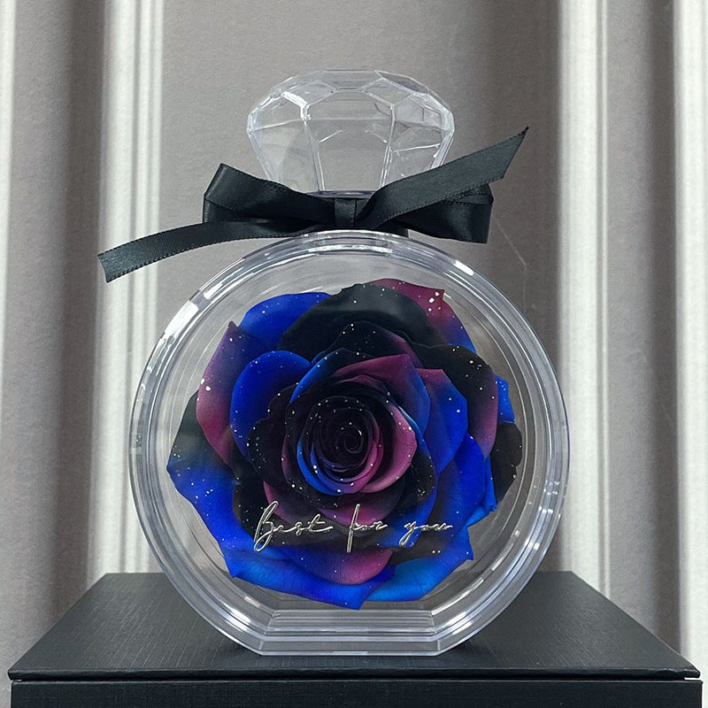 Natural Eternal Rose Flower Gift Box with Transparent Cover