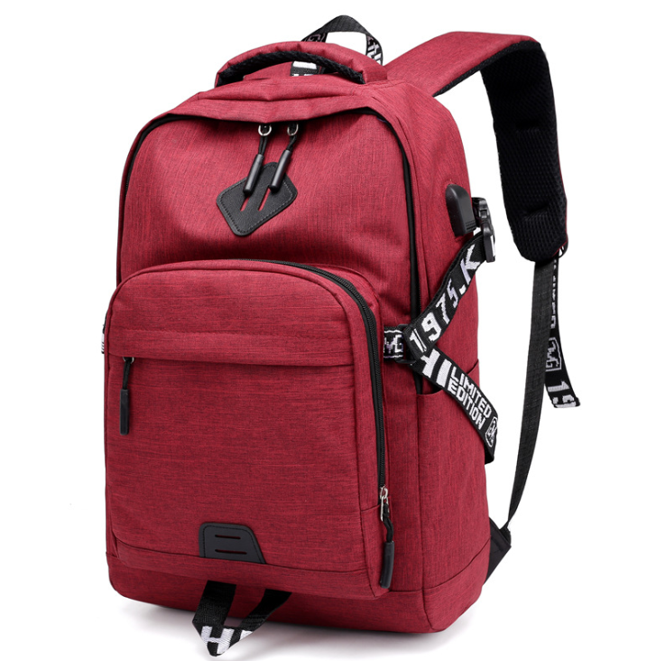 USB Charging Laptop Backpack, Practical Travel Bag with Charge Port