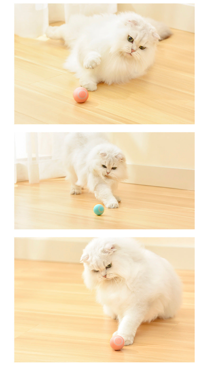 Automatic Rolling Ball Cat Toy With Gravity Rotation