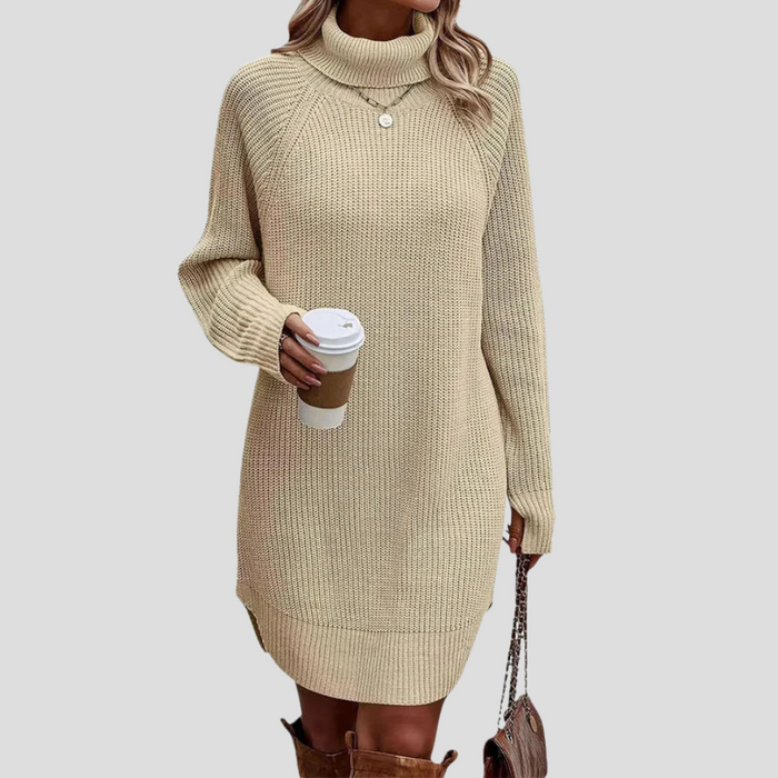 Women's Turtleneck Knit Dress Long Sleeve Ribbed