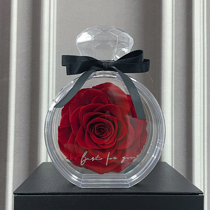 Caixa-presente com rosa eterna natural e tampa transparente