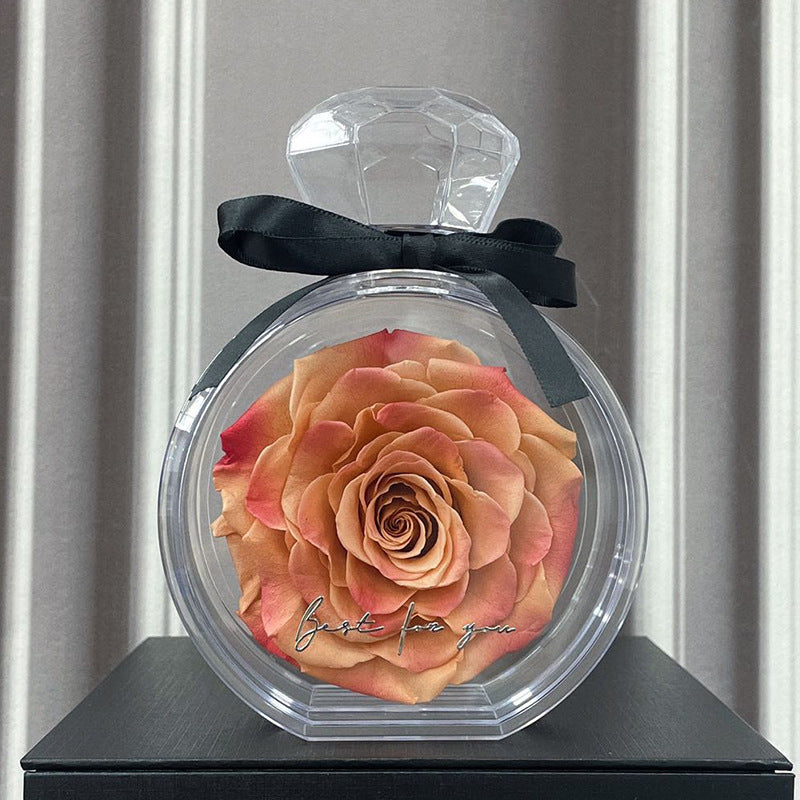 Natural Eternal Rose Flower Gift Box with Transparent Cover