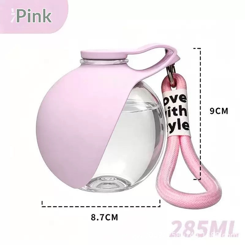 Portable Stainless Steel Water Bottle for Small Dogs and Cats